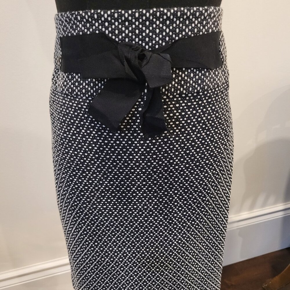 Cute Mini Skirt with a Bow